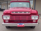 Thumbnail Photo 10 for 1959 Ford F100